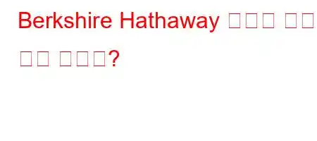 Berkshire Hathaway 회사는 어떤 일을 하나요?